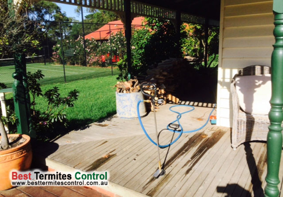 Termite control treatment for owners